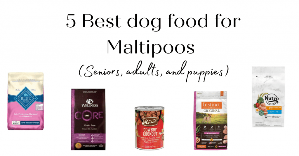 5 Best dog food for Maltipoos of 2022 (Seniors, adults, and puppies)