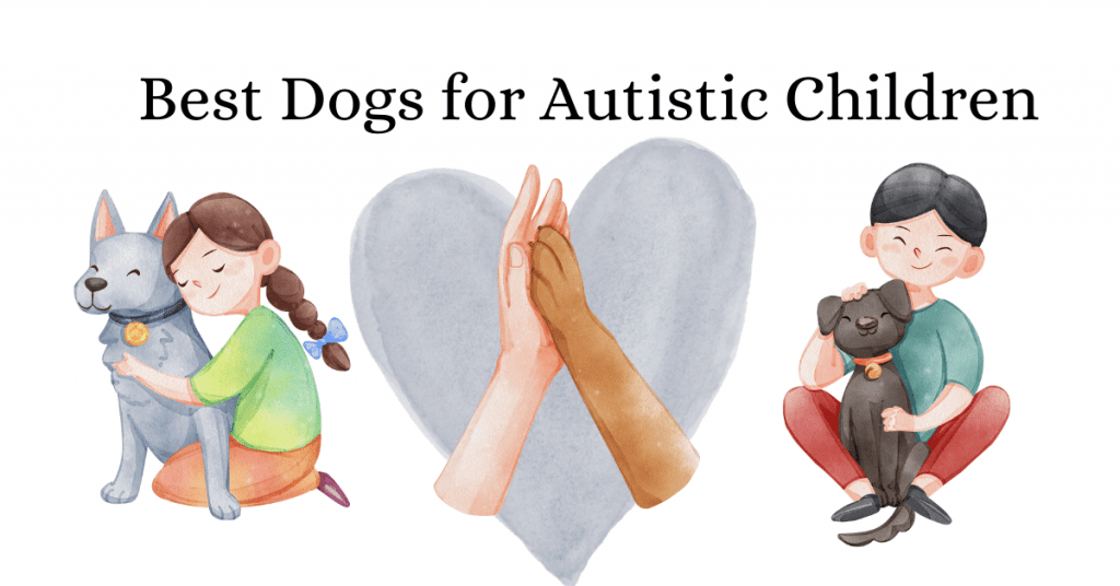 The Best Dogs for Autistic Children: Service dogs with big hearts!