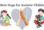 Best dogs for autistic children