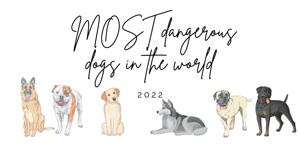 MOST-dangerous-dogs-in-the-WORLD